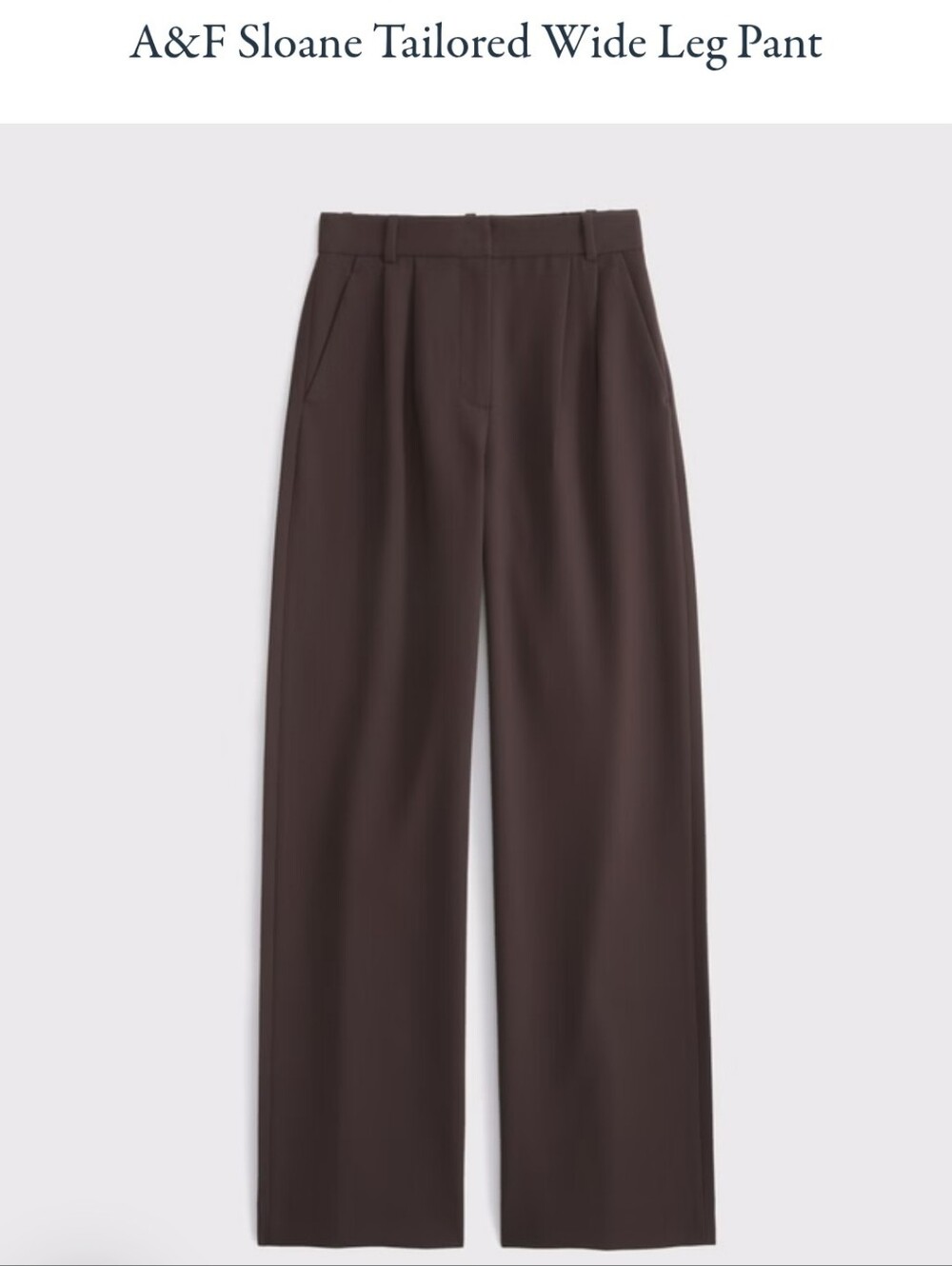 Abercrombie & Fitch Sloane Tailored Wide Leg Pant - Brown
